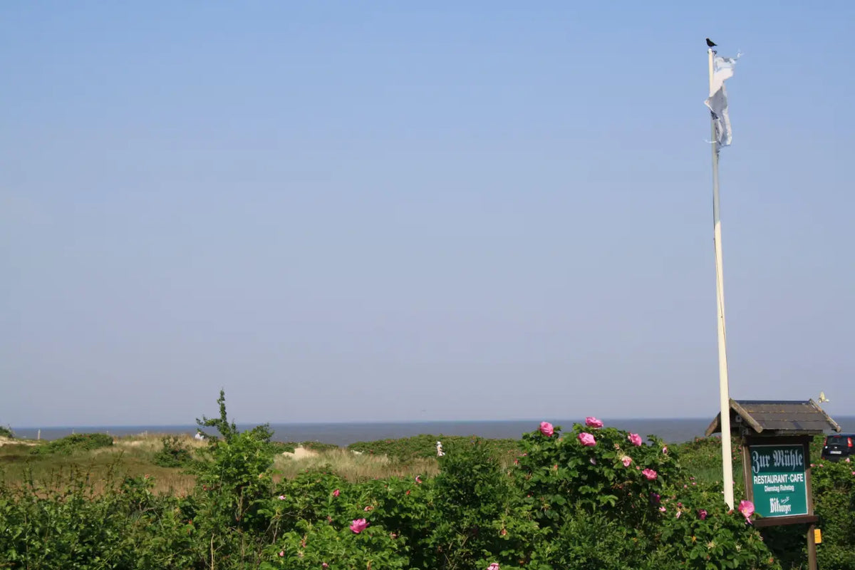 Reetdachhaus mit Meerblick in Munkmarsch – Sylt